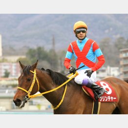 武豊とともに出走するクリンチャー