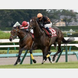 キタサンブラックの15年は②③着が人気薄