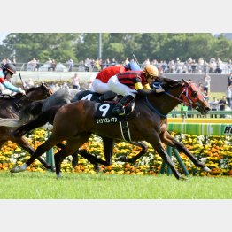 秩父特別で現級勝ち