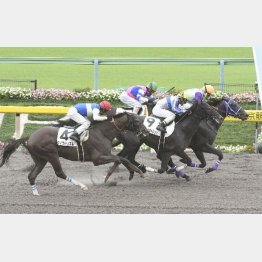 東京二千百で五百万V
