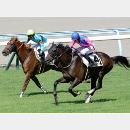 障害3戦目で未勝利勝ち