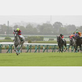 昨年のこのレースは圧勝