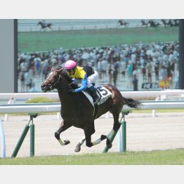 ②着に8馬身差
