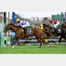 房総特別で連対
