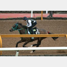 今週は馬なり1F11秒6