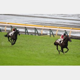 未勝利圧勝は不良馬場