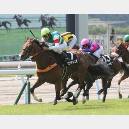 前走は完勝