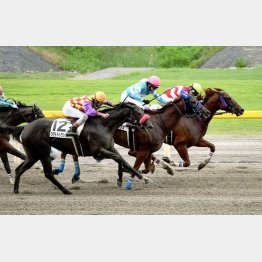 出戻り初戦で首差②着