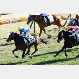中山二千で初勝利