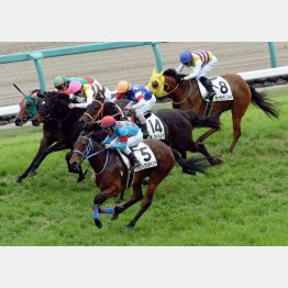 4月にこの舞台で五百万勝ち