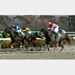 マーチSでは勝ち馬(左)から鼻差