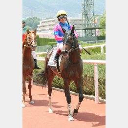 中間は坂路で自己ベストを更新