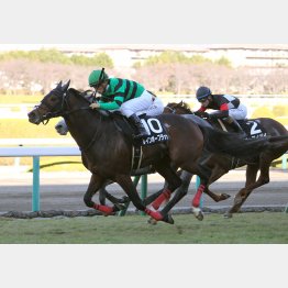 阪神千四の猪名川特別で一千万勝ち