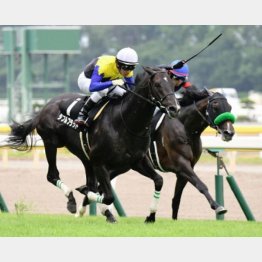 燕特別は驚異の末脚でレコードV