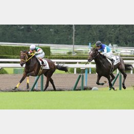 荻野極とのコンビで未勝利勝ち