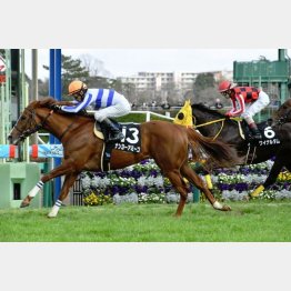 3月にこの舞台で一千万勝ち