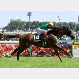 由比ケ浜特別を差し切り