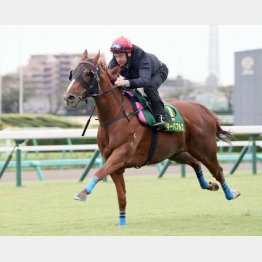 香港のトップスプリンターが激走する