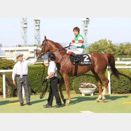都大路Sを圧勝