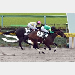 東京ダート千四で初勝利