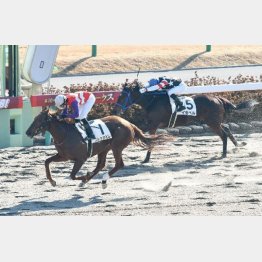 未勝利以来のVを