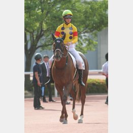 今度は先頭フィニッシュだ