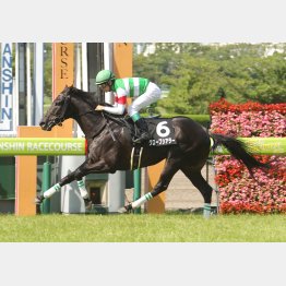 三田特別勝ちは115のハイレート