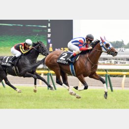 前走も完勝だった