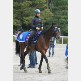 馬体にも重厚感が出た