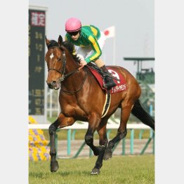 昨年の阪神大賞典以来のVを狙うサトノダイヤモンド