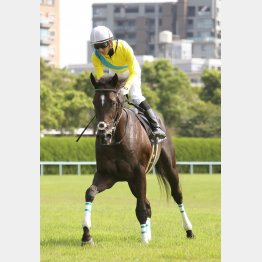 平坦京都で粘りが増す