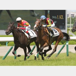 2走前に五百万勝ち