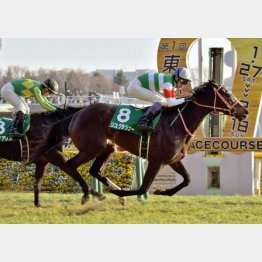 東京新聞杯で牡馬を一蹴