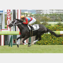 勝ち時計も速かった