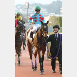 準オープン②着がある実力馬