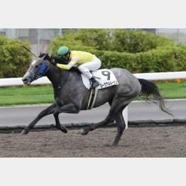 初戦は圧巻の走り