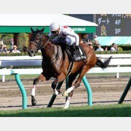 藻岩山特別を完勝