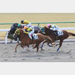 今年の初戦を③着してから現在は2連勝中