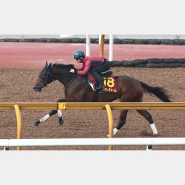 ミッキーチャームは状態面も◎