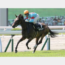 小倉でレコード勝ち