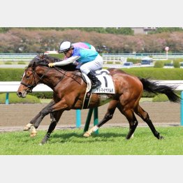 五百万に続く勝利を