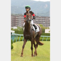 現級では実績上位