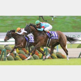 2着に敗れたミッキーチャームも相当強い