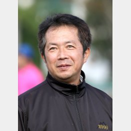 新開調教師