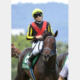 菊花賞 またまたルメールだ フィエールマン大仕事 日刊ゲンダイ競馬