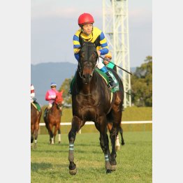 重賞2勝目ゲットだ