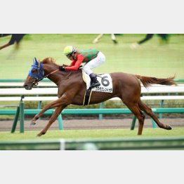 2戦目で初勝利