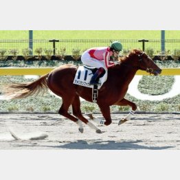 この舞台で初勝利