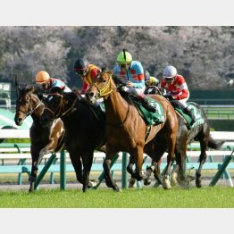 ダービー卿CTを快勝