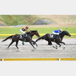 越後Sで中井とのコンビ3勝目